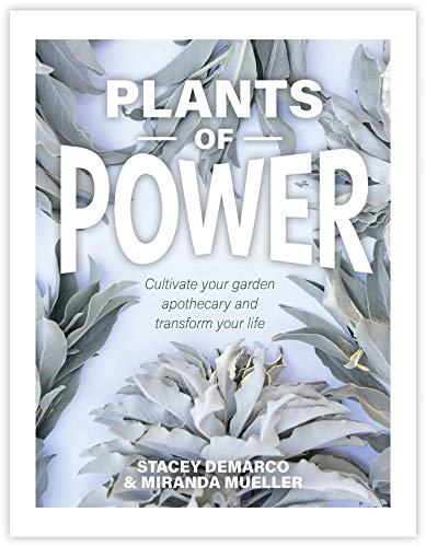 Stock image for Plants of Power: Cultivate Your Garden Apothecary and Transform Your Life for sale by Dream Books Co.