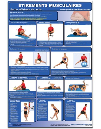 Imagen de archivo de Etirements Musculaire - partie inferieure du corps - Affiche - Stretching Lower Body (French Edition) CSLL-FR (Poster) a la venta por Revaluation Books