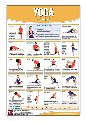 Beispielbild fr Yoga Asanas Poster/Chart zum Verkauf von Revaluation Books