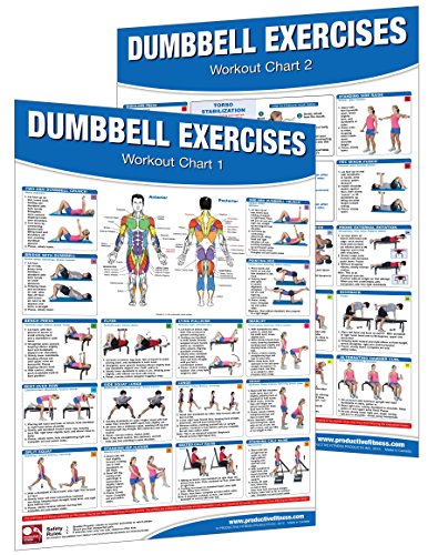 Stock image for Productive Fitness Dumbbell Workout Poster/Chart Set for sale by Revaluation Books