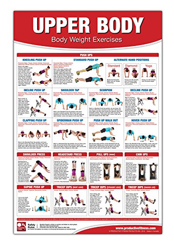 Bodyweight Training Poster/Chart - Upper Body: Chest Training - No