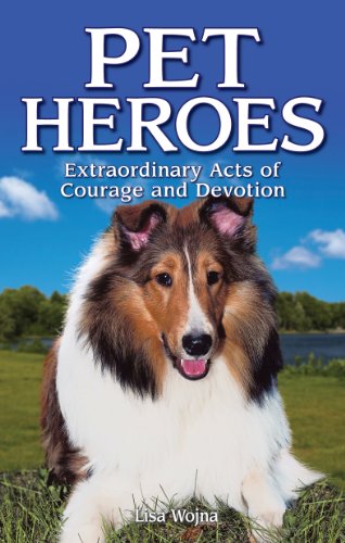 Stock image for Pet Heroes for sale by Blackwell's