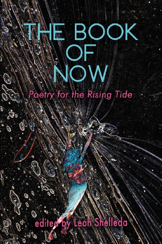 Beispielbild fr The Book of Now: Poetry for the Rising Tide zum Verkauf von Irish Booksellers