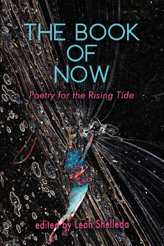 Stock image for The Book of Now: Poetry for the Rising Tide for sale by Irish Booksellers