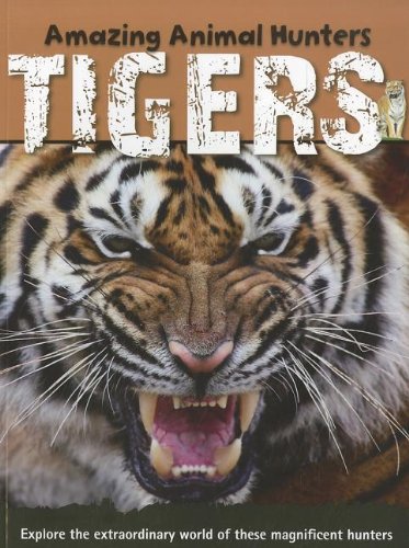 9781926722535: Tigers (Amazing Animal Hunters)