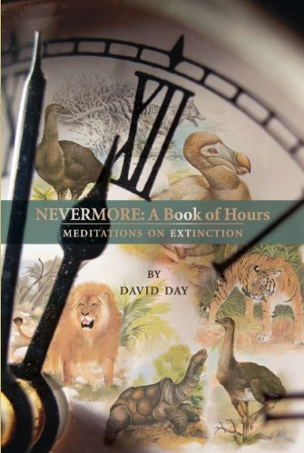 Stock image for Nevermore : A Book of Hours for sale by Better World Books: West