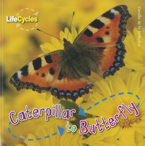 9781926853369: Caterpillar to Butterfly (Life Cycles)