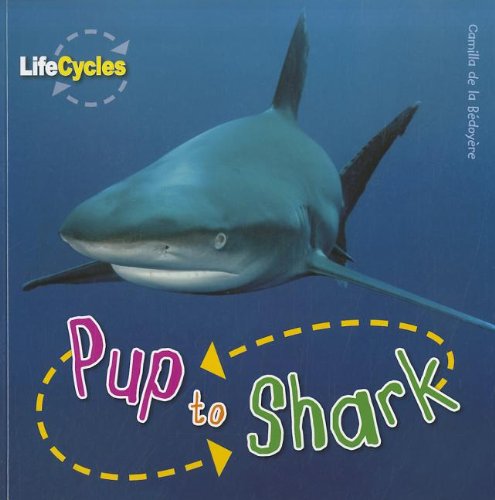 9781926853390: Pup to Shark (Life Cycles)