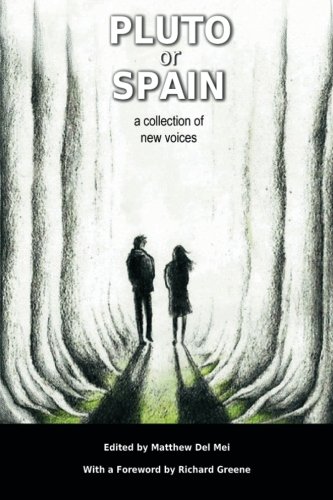 Stock image for Pluto or Spain: A Collection of New Voices for sale by Revaluation Books