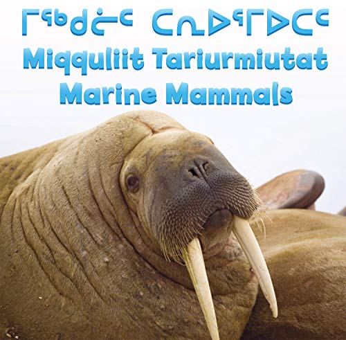 Beispielbild fr Marine Mammals zum Verkauf von Better World Books: West