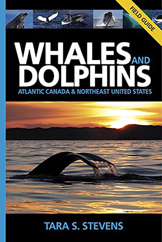 Stock image for Whales and Dolphins of Atlantic Canada and Northeast United States : Field Guide for sale by Better World Books: West