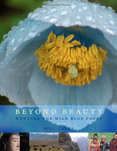 Imagen de archivo de Beyond Beauty: Hunting the Wild Blue Poppy a la venta por Zoom Books Company
