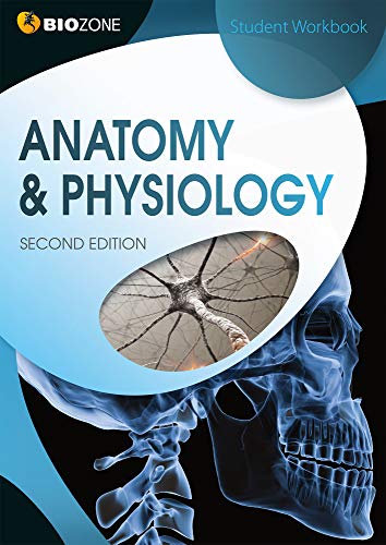 Beispielbild fr Anatomy & Physiology: Student Workbook zum Verkauf von Monster Bookshop