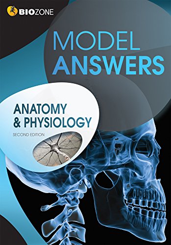Stock image for Anatomy & Physiology Model Answers for sale by SecondSale