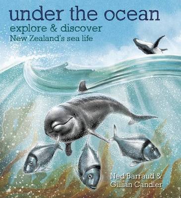 Beispielbild fr Under the Ocean: Explore & Discover New Zealand's Sea Life zum Verkauf von WorldofBooks