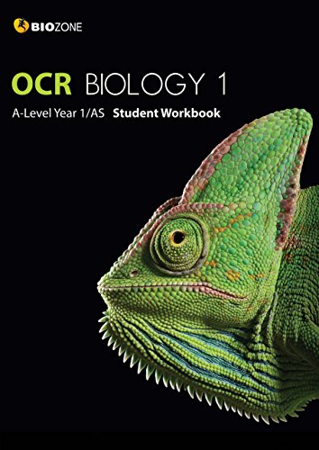 Stock image for BIOZONE OCR Biology 1 A-Level Year 1/AS Student Workbook (Biology Student Workbook) for sale by WorldofBooks