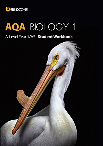 Stock image for BIOZONE AQA Biology 1 A-Level Year 1/AS Student Workbook (Biology Student Workbook) for sale by WorldofBooks