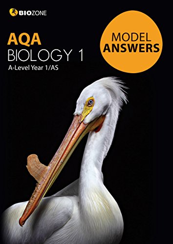 Imagen de archivo de Model Answers AQA Biology 1 (Biology Student Workbook) a la venta por AwesomeBooks