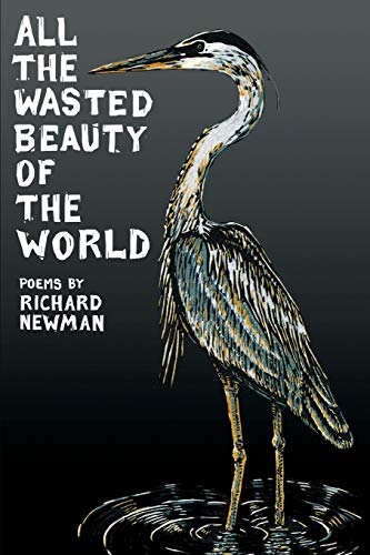 Stock image for All the Wasted Beauty of the World for sale by THE SAINT BOOKSTORE