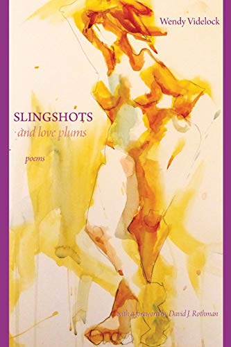 Beispielbild fr Slingshots and Love Plums zum Verkauf von Wonder Book
