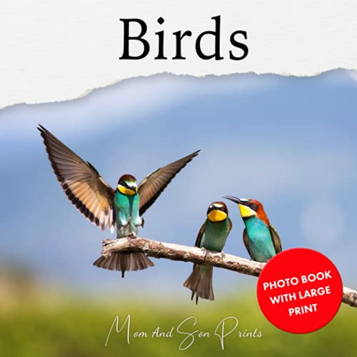 Stock image for Birds: Photo Book With Large Print (Large Print Photo Books) for sale by Book Deals