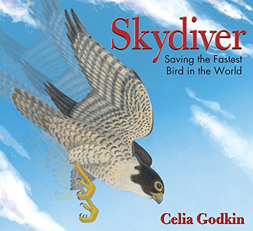 Imagen de archivo de Skydiver : Saving the Fastest Bird in the World a la venta por Better World Books: West