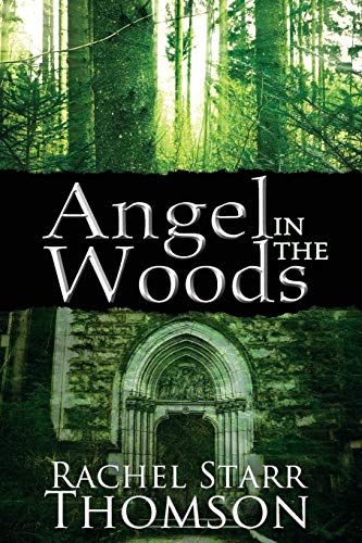 9781927658192: Angel in the Woods