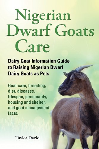 Nigerian Dwarf Goats Care: Dairy Goat Information Guide to Raising Nigerian Dwarf Dairy Goats as ...