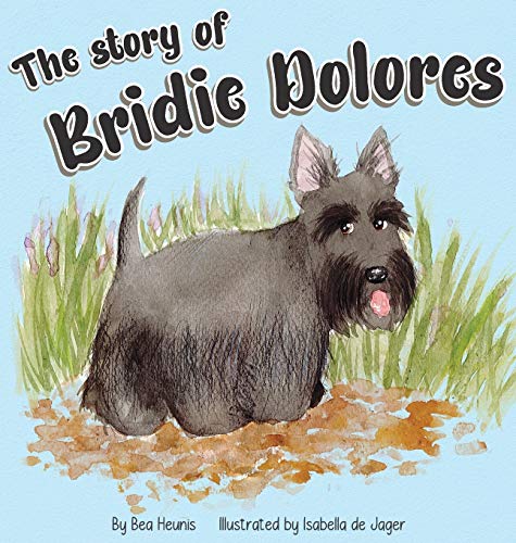 Stock image for The Story of Bridie Dolores for sale by Buchpark