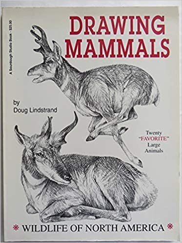 Stock image for Drawing Mammals (Sourdough Studio Book) for sale by HPB-Emerald