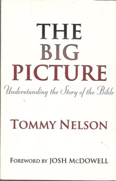 Imagen de archivo de The Big Picture: Understanding the Story of the Bible a la venta por ThriftBooks-Atlanta