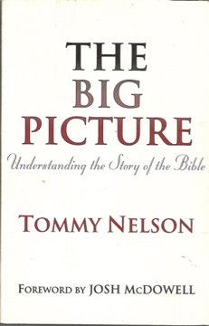 Stock image for The Big Picture: Understanding the Story of the Bible for sale by Upward Bound Books