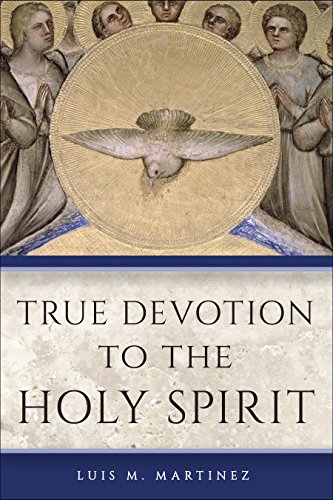 Stock image for True Devotion to the Holy Spirit for sale by Ergodebooks