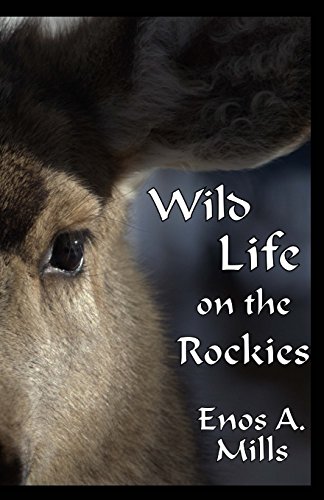 Stock image for Wild Life on the Rockies for sale by Lucky's Textbooks