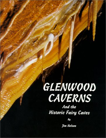 Imagen de archivo de Glenwood Caverns and the Historic Fairy Caves a la venta por Hawking Books