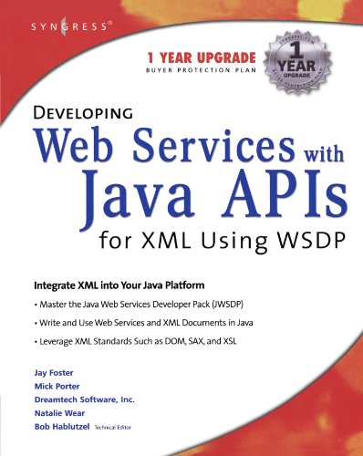 Imagen de archivo de Developing Web Services with Java APIs for XML Using Wsdp a la venta por Better World Books