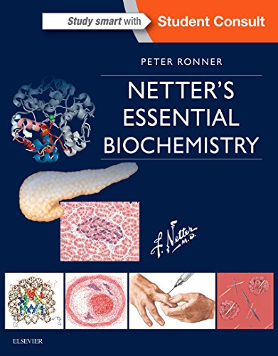Imagen de archivo de Netter's Essential Biochemistry a la venta por Blackwell's