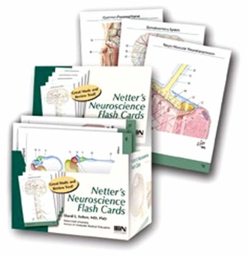 Stock image for Netter's Neuroscience Flash Cards (Netter Basic Science) for sale by HPB-Red