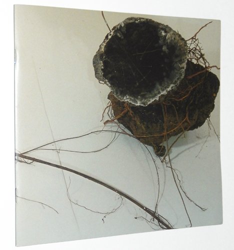 David Nelson: Exhibition Catalogue, May 11 - June 17, 2000 (9781929032051) by David Nelson