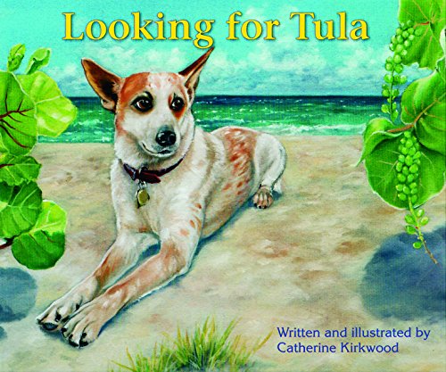 Stock image for LOOKING FOR TULA for sale by medimops