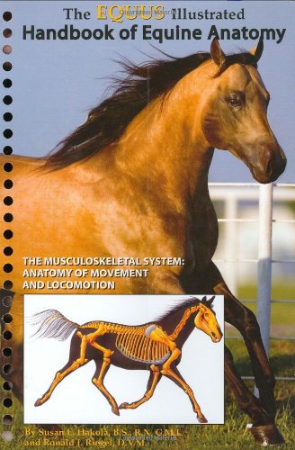 9781929164332: The Equus Illustrated Handbook of Equine Anatomy, Volume 1, The Musculoskeletal System: The Anatomy of Movement and Locomotion