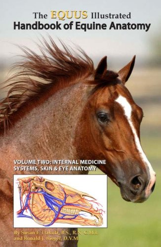 Stock image for The EQUUS Ilustrated Handbook of Equine Anatomy, Volume 2 for sale by Rye Berry Books