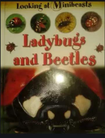 Ladybugs and Beetles (Looking at Minibeasts) (9781929298792) by Morgan, Sally