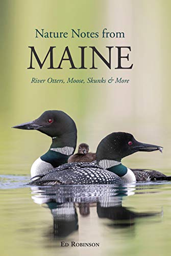 Beispielbild fr Nature Notes from Maine zum Verkauf von ThriftBooks-Dallas