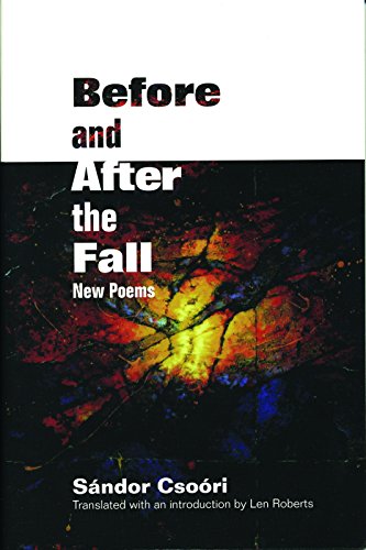 Stock image for Before and After the Fall: New Poems for sale by Tsunami Books