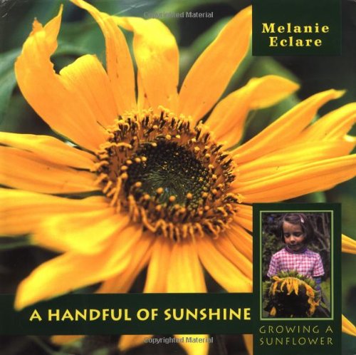 Beispielbild fr A Handful of Sunshine : Growing a Sunflower zum Verkauf von Better World Books