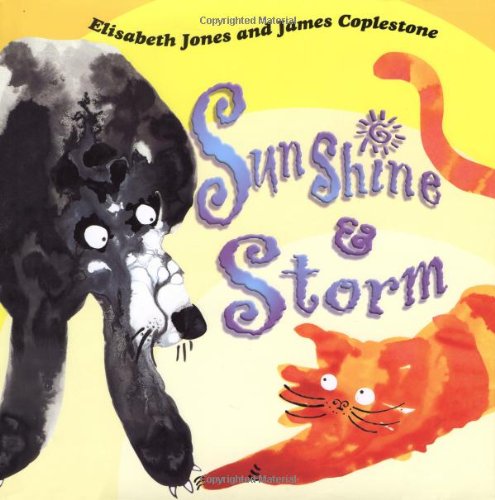 Stock image for Sunshine and Storm for sale by Better World Books