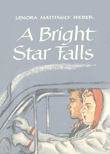 Beispielbild fr A Bright Star Falls zum Verkauf von Seagull Books