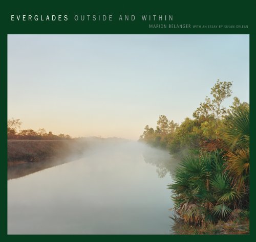 Everglades Outside and Within