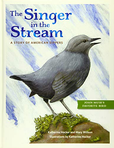 Beispielbild fr The Singer in the Stream : A Story of American Dippers zum Verkauf von Better World Books